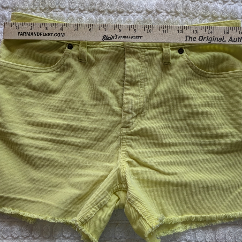 Carve Designs High Waist Yellow Shorts